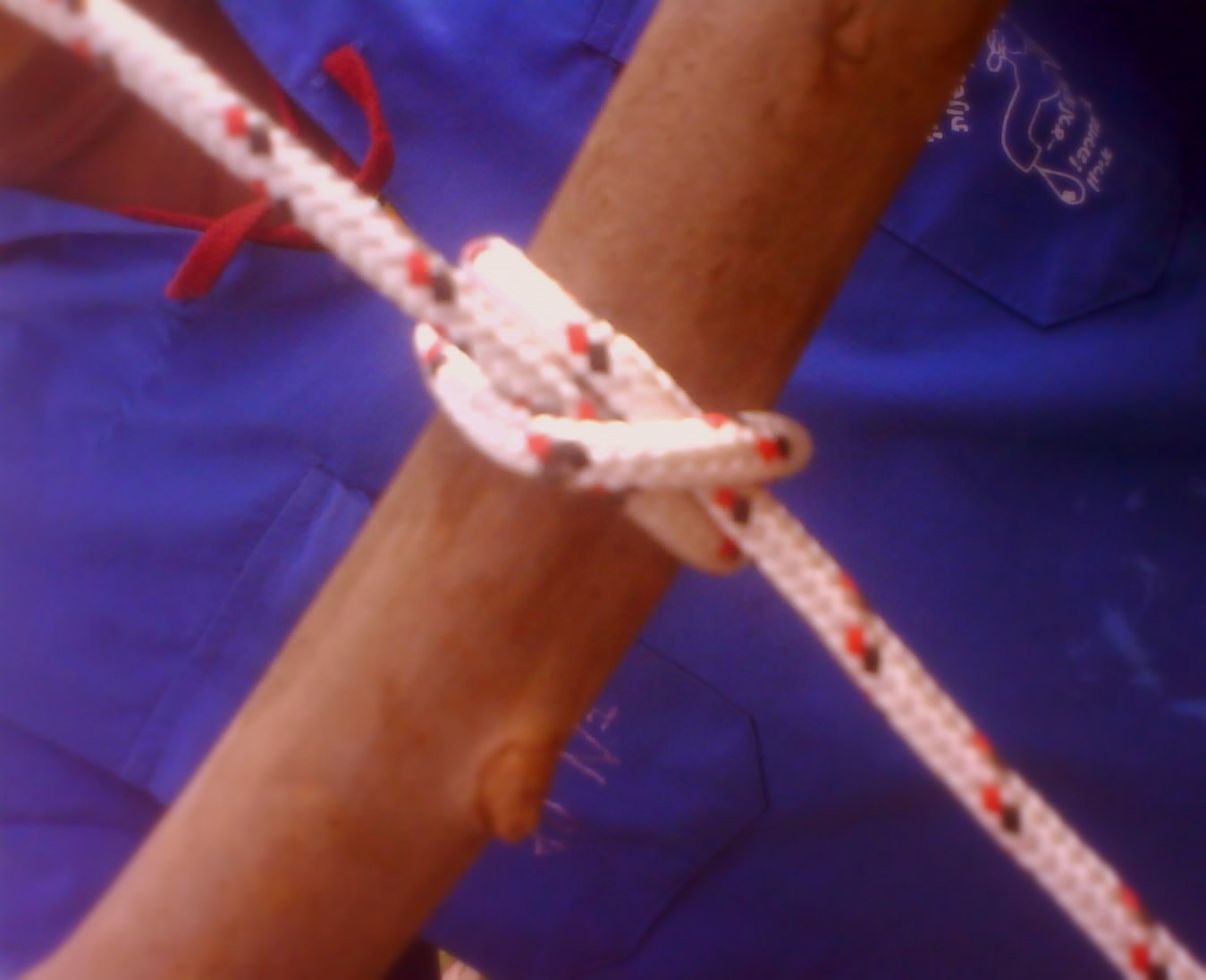 Basic Knots Everyone Should Know