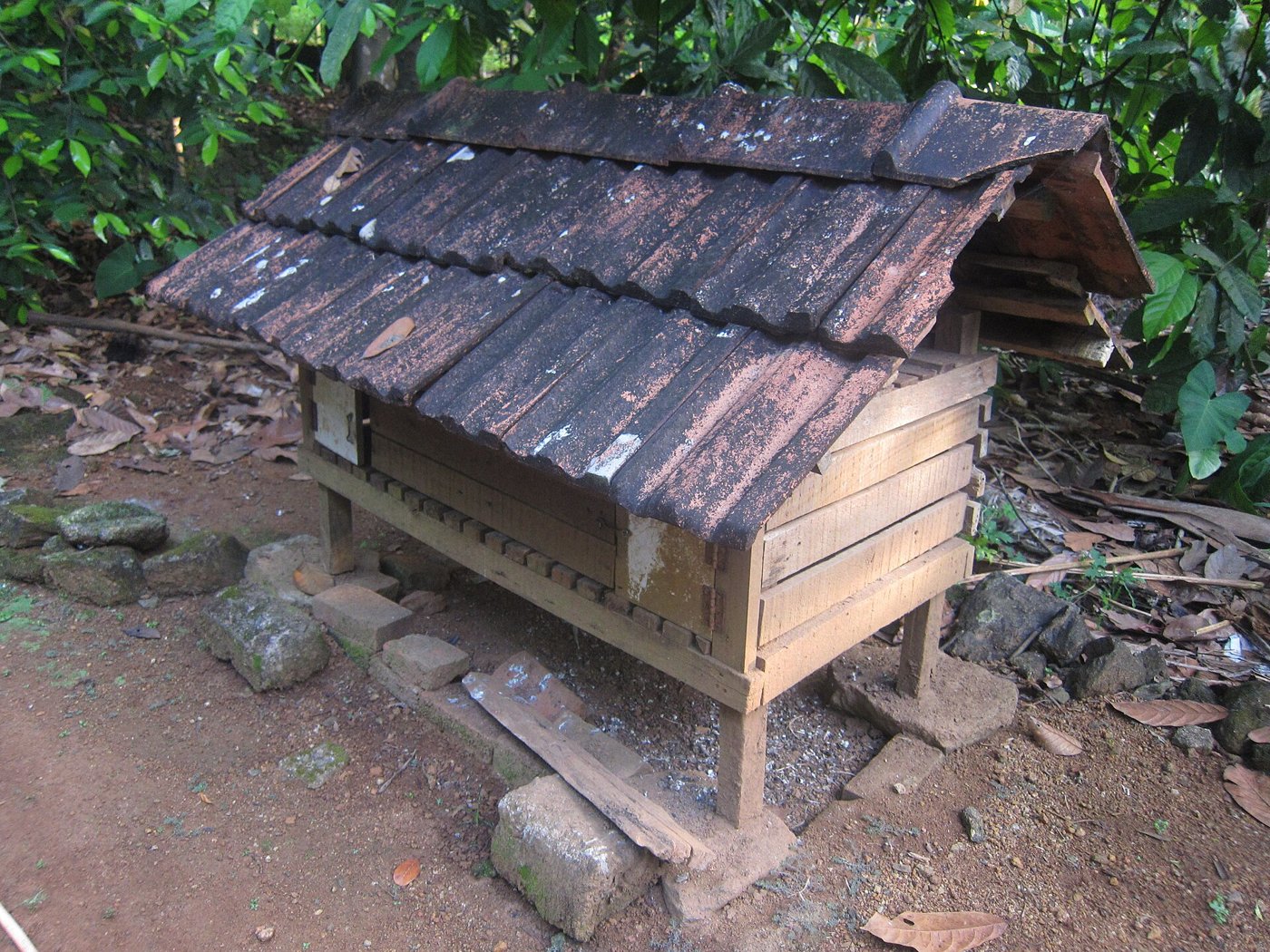 How to Build a Simple Chicken Nesting Box